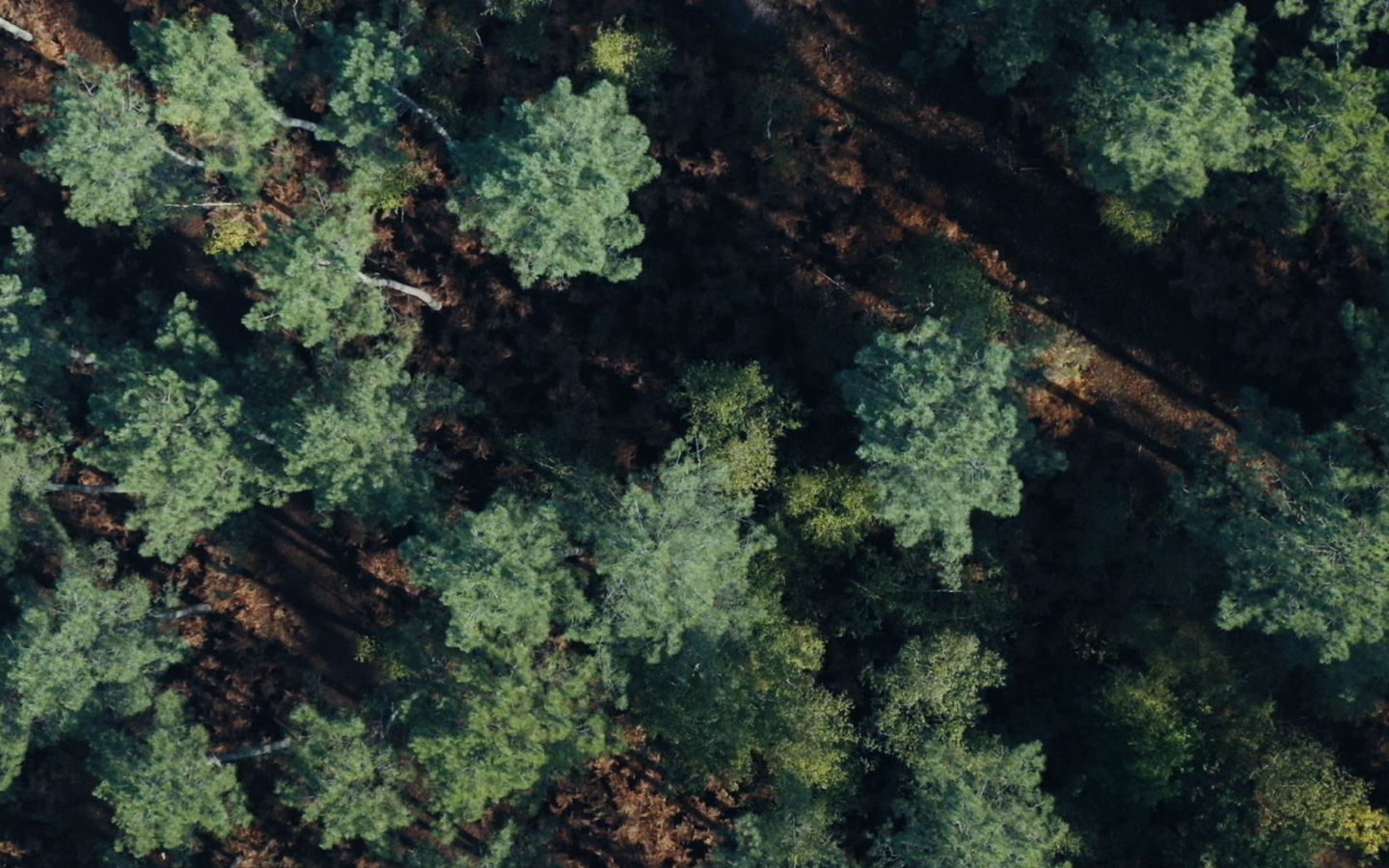 Une Histoire Vraie - cover-02